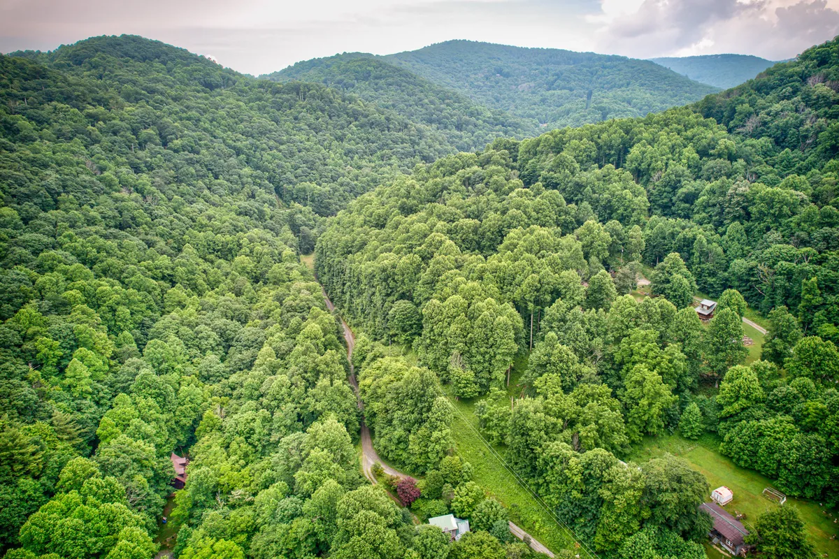 A scenic view of lush green trees, a winding road, and distant mountains. The sweeping landscape hints at the high country setting and the adventures available nearby, such as skiing, snowboarding, and mountain exploration.