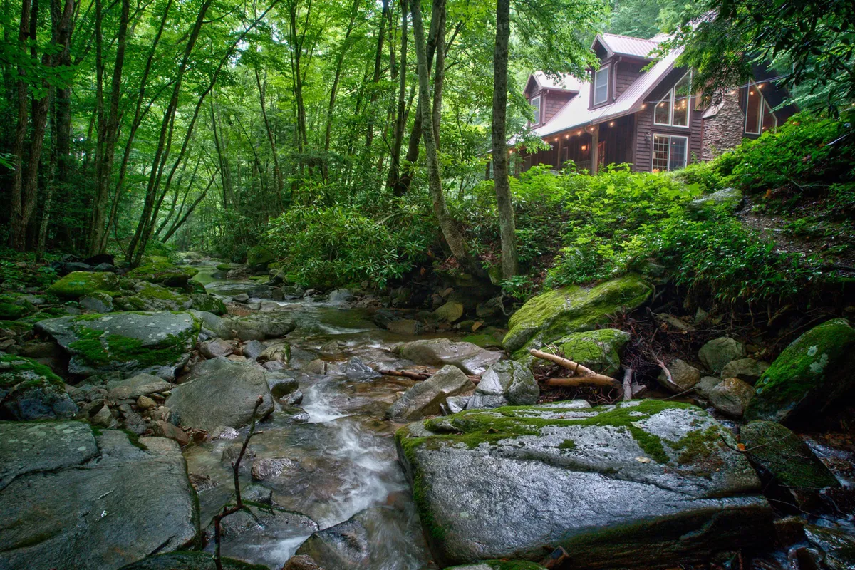 The hero image showcases a charming wood cabin nestled among tall trees, with a sparkling creek flowing just steps from the front porch. The tranquil forest setting surrounds the cabin, offering views of lush greenery and inviting outdoor spaces, ideal for relaxation and enjoying nature.