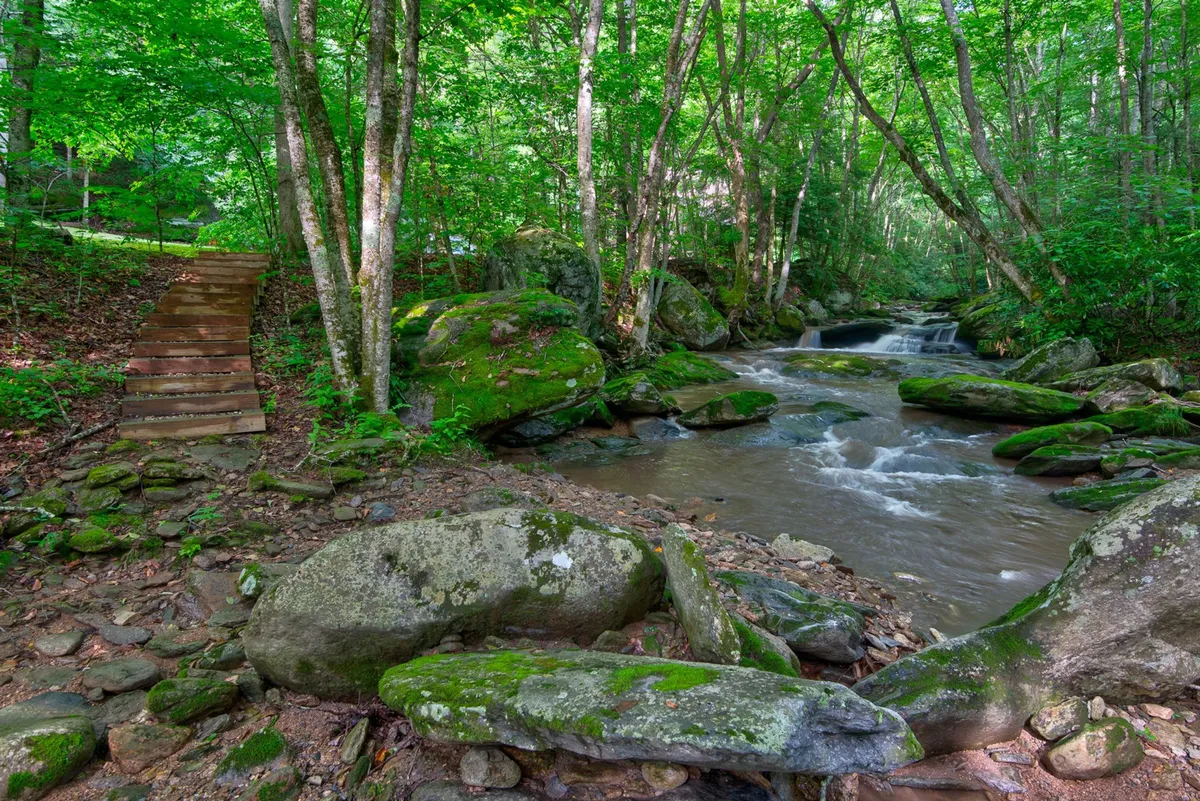 This exterior image captures a set of wooden stairs leading down to a picturesque stream, surrounded by lush greenery and natural rock formations. The flowing water and shady trees evoke a sense of adventure and tranquility, hinting at the easy outdoor access and direct creek frontage mentioned in the section.