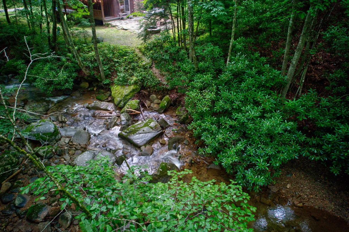 A gentle stream winds through vibrant greenery, with a distant cabin nestled among the trees. This serene setting is ideal for nature walks, relaxation, and possibly letting dogs roam safely along the water's edge.